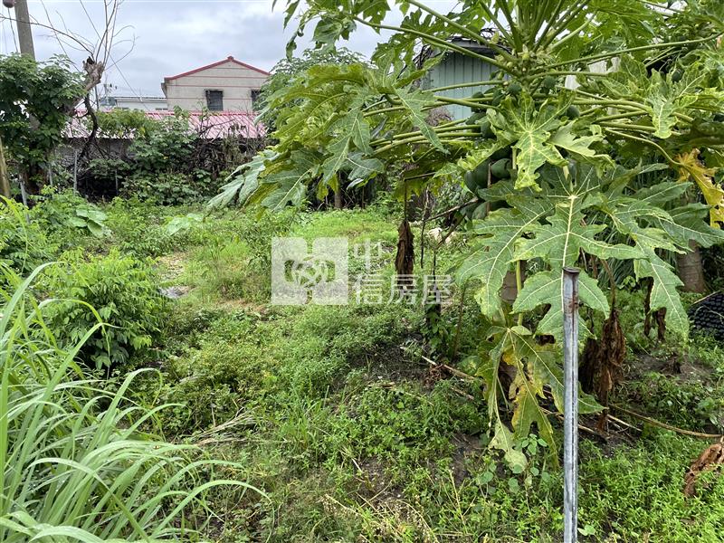 專-鹿草下潭國小建地房屋室內格局與周邊環境