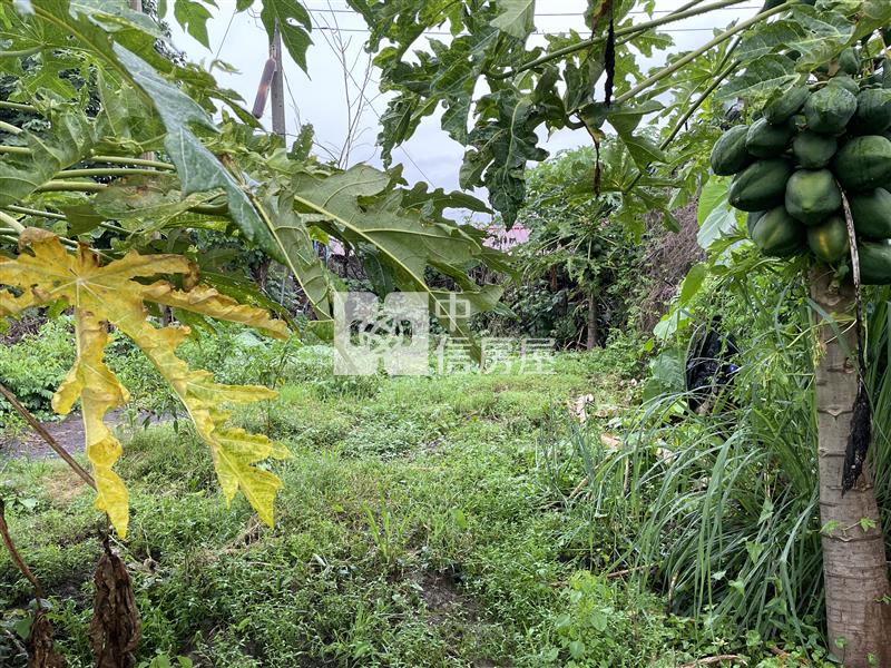 專-鹿草下潭國小建地房屋室內格局與周邊環境
