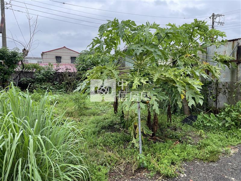 專-鹿草下潭國小建地房屋室內格局與周邊環境