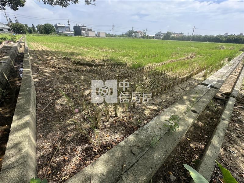 新屋市區新文路旁美農地房屋室內格局與周邊環境