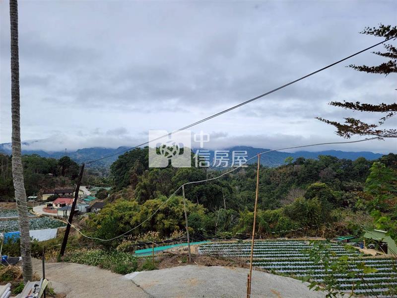 苗栗大湖低總價美農地房屋室內格局與周邊環境