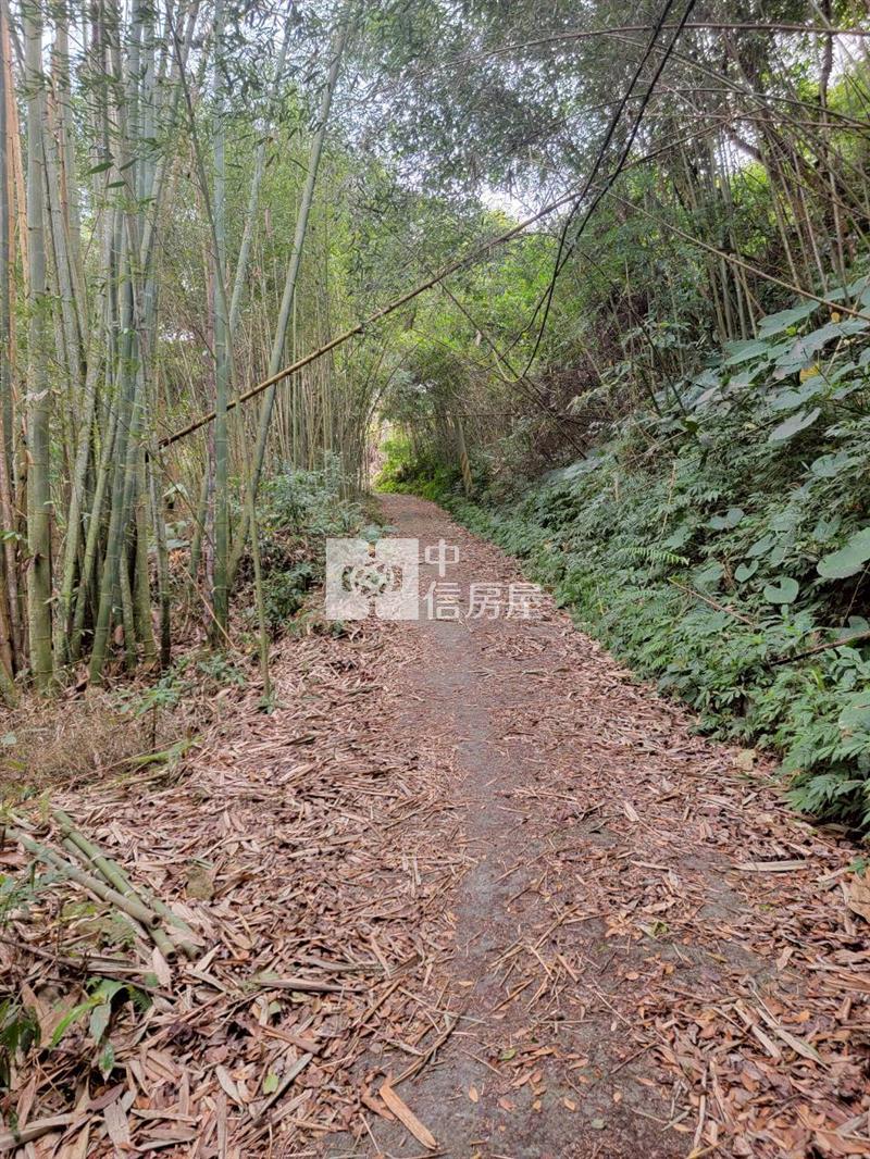 苗栗大湖低總價美農地