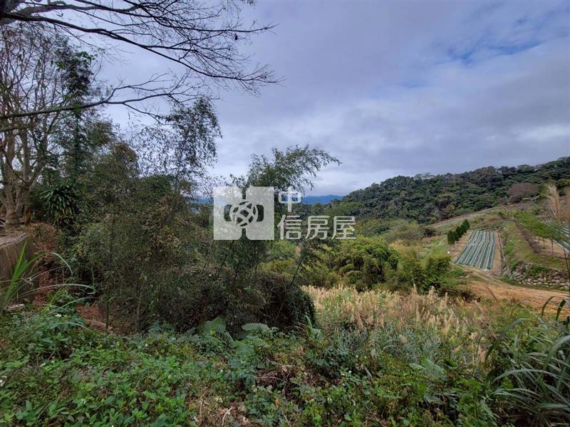 苗栗大湖低總價美農地房屋室內格局與周邊環境