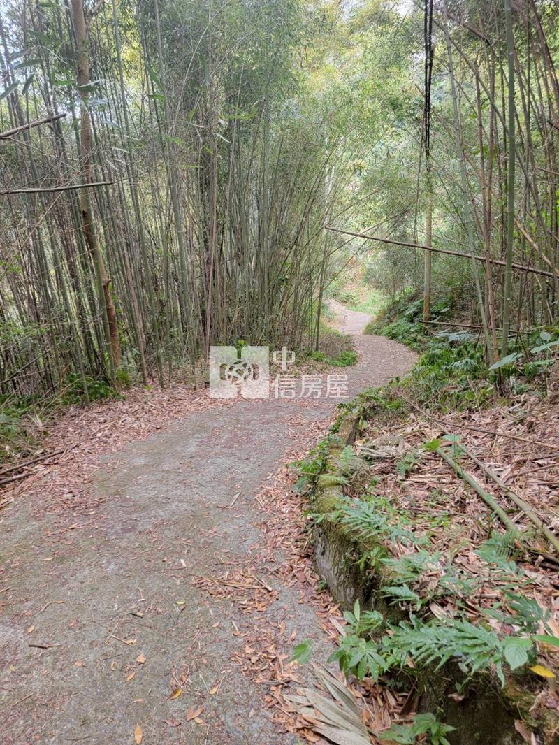 苗栗大湖低總價美農地房屋室內格局與周邊環境