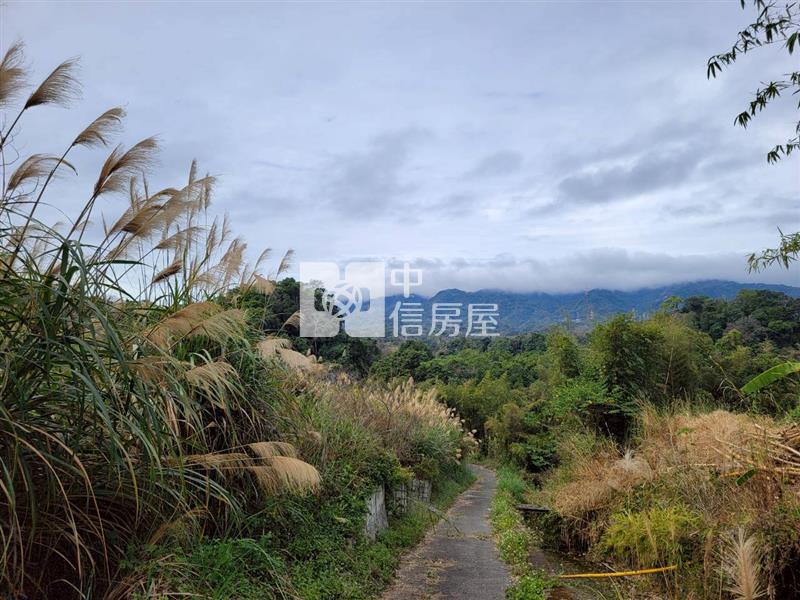 苗栗大湖低總價美農地房屋室內格局與周邊環境