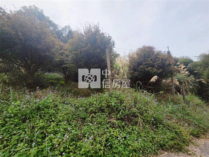 苗栗大湖低總價美農地房屋室內格局與周邊環境
