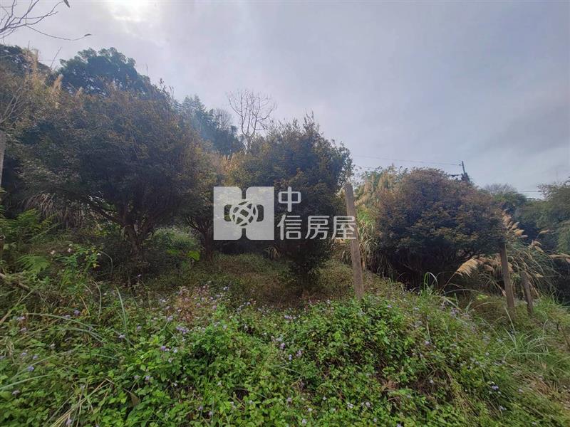 苗栗大湖低總價美農地房屋室內格局與周邊環境