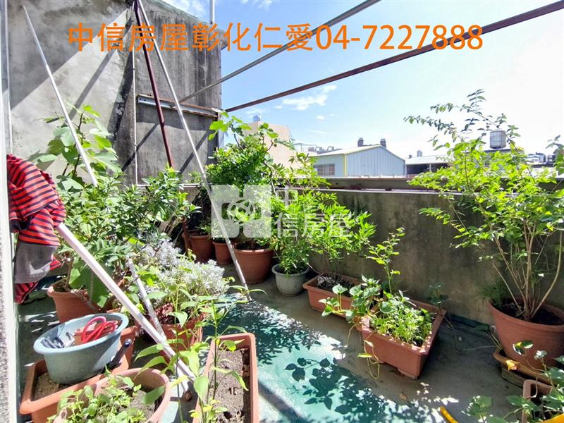 自強路活巷透天房屋室內格局與周邊環境