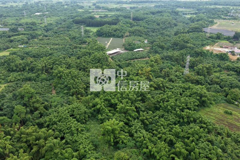 近關廟南一球場1甲8一般農房屋室內格局與周邊環境