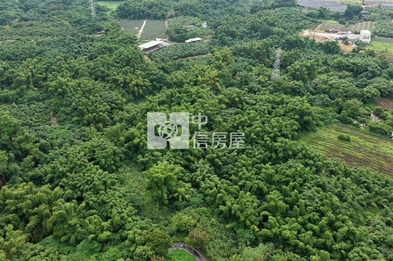近關廟南一球場1甲8一般農房屋室內格局與周邊環境