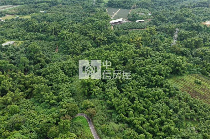 近關廟南一球場1甲8一般農房屋室內格局與周邊環境
