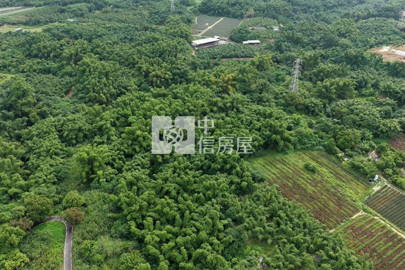 近關廟南一球場1甲8一般農房屋室內格局與周邊環境