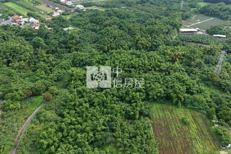 近關廟南一球場1甲8一般農房屋室內格局與周邊環境