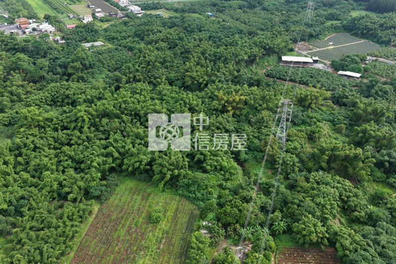 近關廟南一球場1甲8一般農房屋室內格局與周邊環境