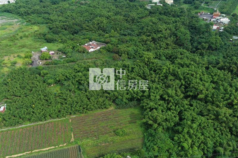 近關廟南一球場1甲8一般農房屋室內格局與周邊環境