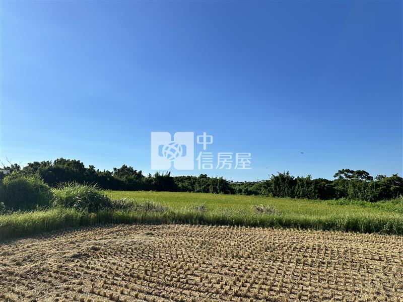 新竹新豐｜農＋建｜退休置產首選房屋室內格局與周邊環境