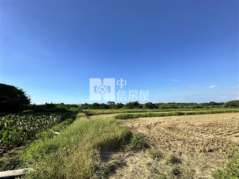 新竹新豐｜農＋建｜退休置產首選房屋室內格局與周邊環境