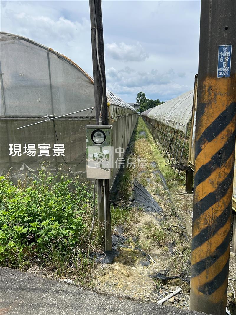 (獨家專賣)014-埔里牛尾段前後臨路農地【中信王牌】房屋室內格局與周邊環境