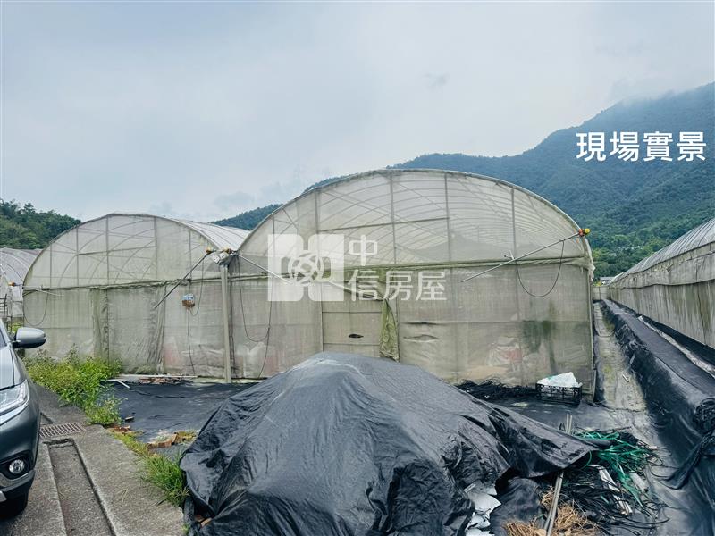 (獨家專賣)014-埔里牛尾段前後臨路農地【中信王牌】房屋室內格局與周邊環境