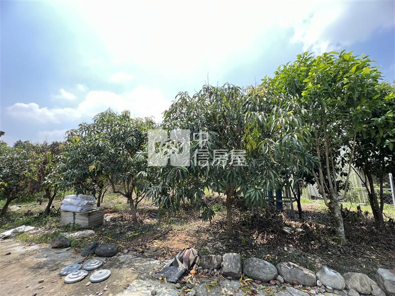 屏東農舍-內埔休閒景觀度假莊園房屋室內格局與周邊環境