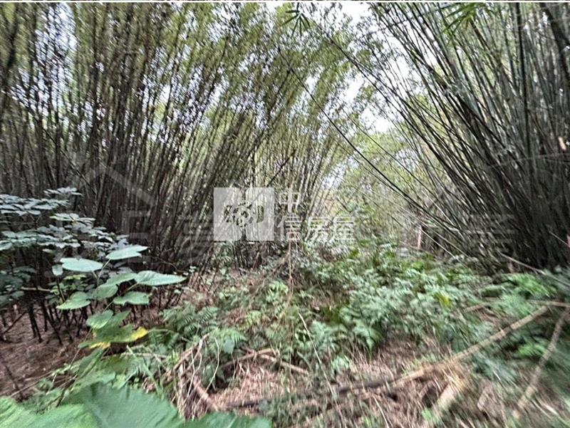 專委~近楊梅天成醫院.楊梅交流道.工業區旁~都計農房屋室內格局與周邊環境