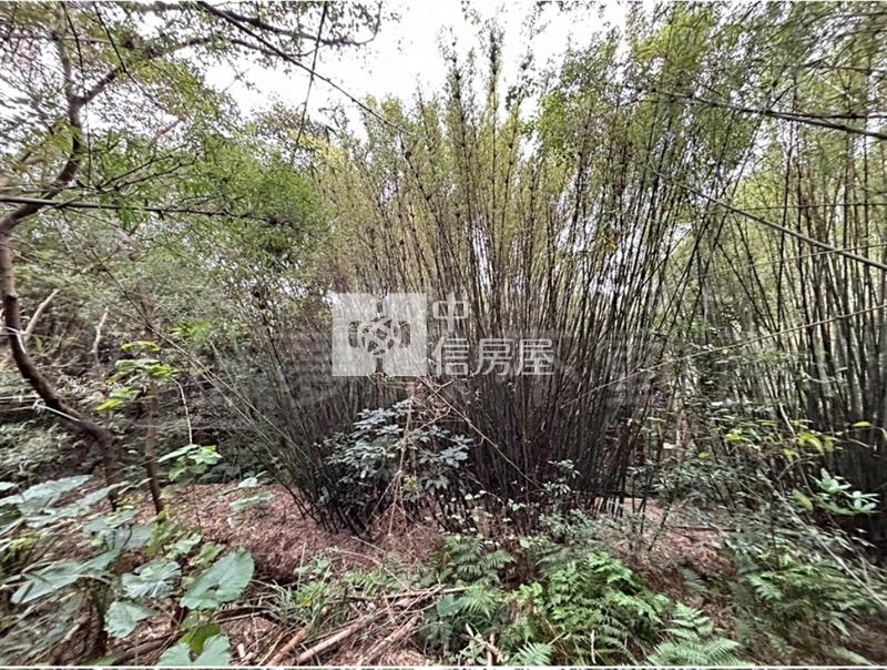 專委~近楊梅天成醫院.楊梅交流道.工業區旁~都計農房屋室內格局與周邊環境