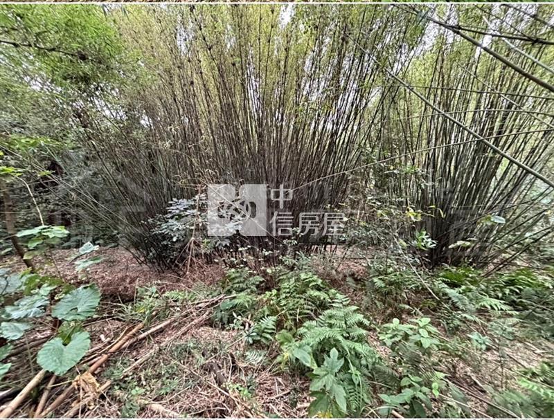 專委~近楊梅天成醫院.楊梅交流道.工業區旁~都計農房屋室內格局與周邊環境
