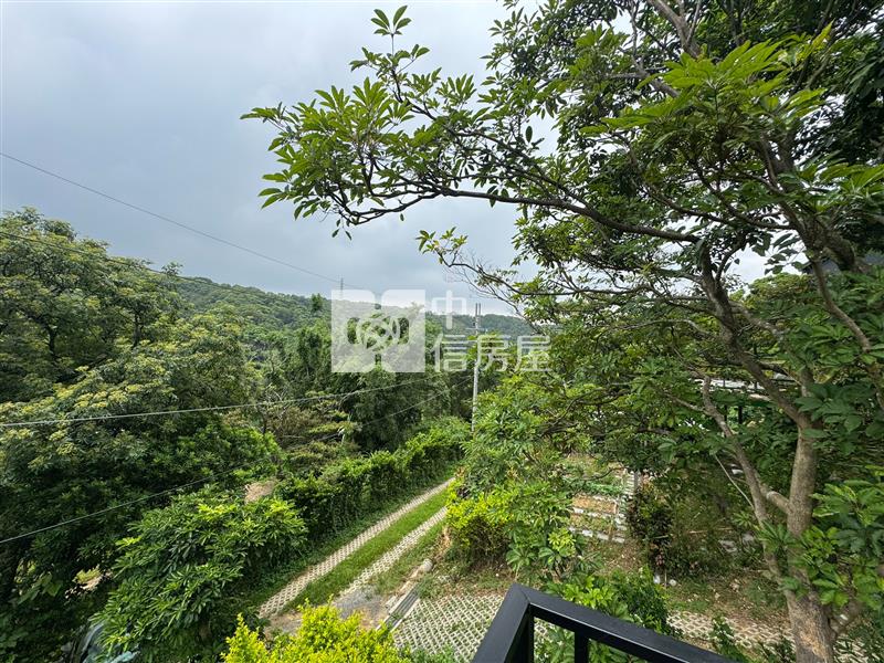 【奔馳】都計內大坑悠閒土地附小木屋房屋室內格局與周邊環境