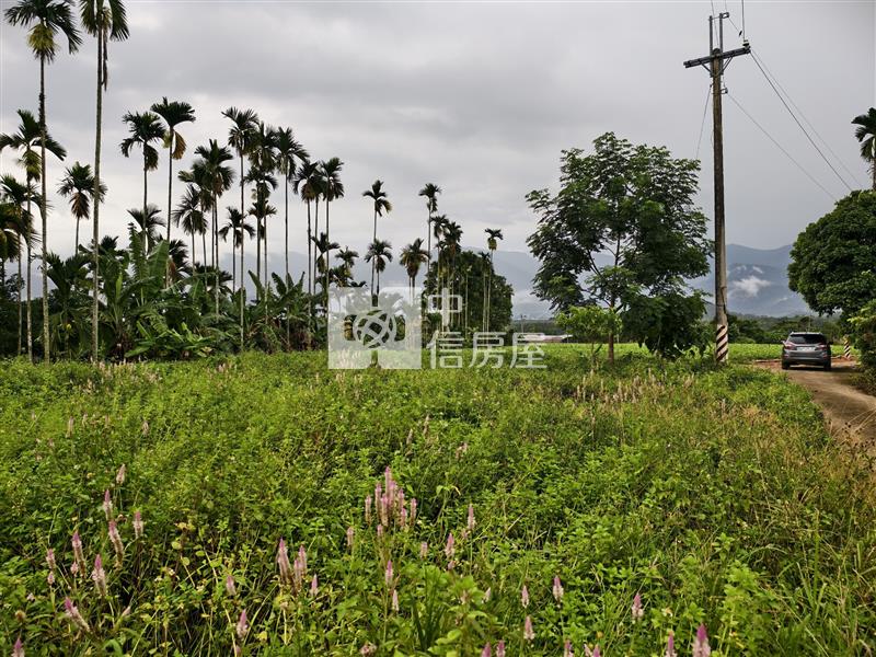 蜈蜞坑小農地