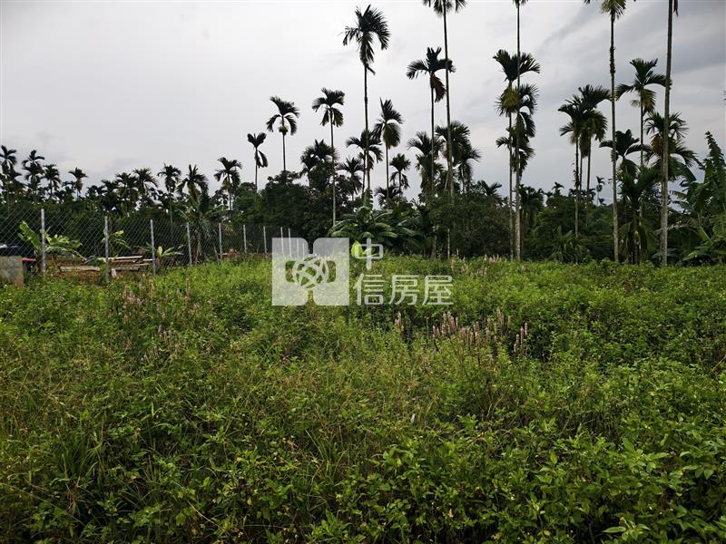 蜈蜞坑小農地房屋室內格局與周邊環境
