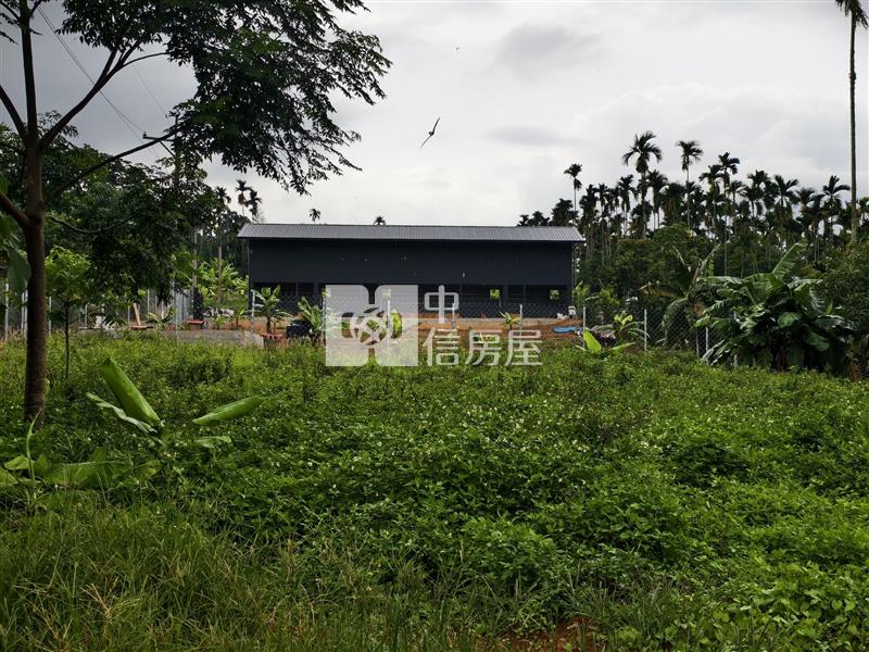 蜈蜞坑小農地房屋室內格局與周邊環境