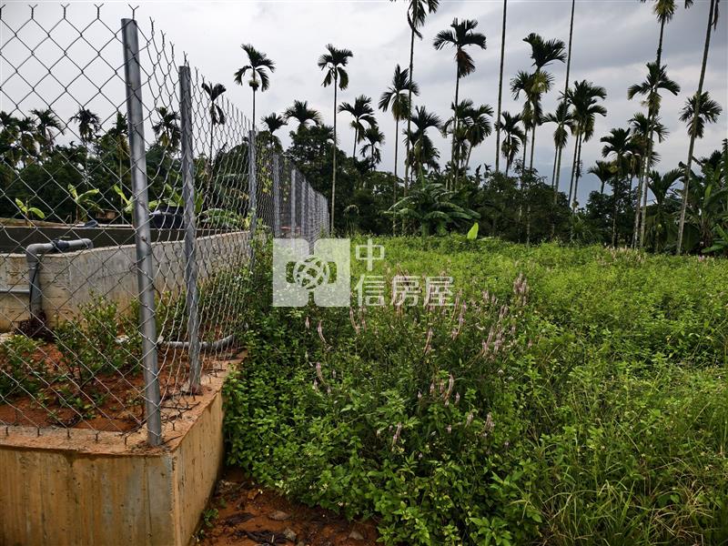 蜈蜞坑小農地房屋室內格局與周邊環境