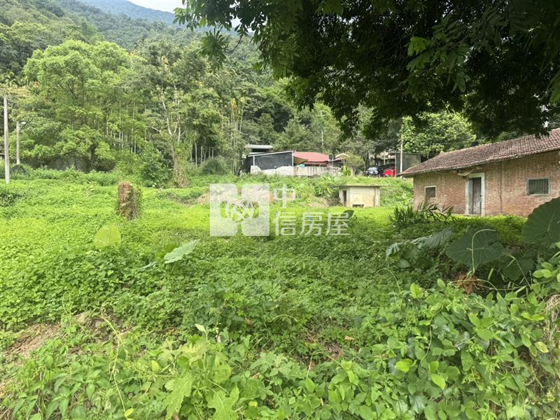 寶湖窟田+建Ⅱ房屋室內格局與周邊環境