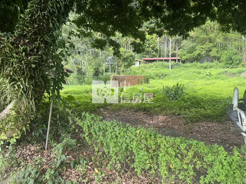 寶湖窟田+建Ⅱ房屋室內格局與周邊環境