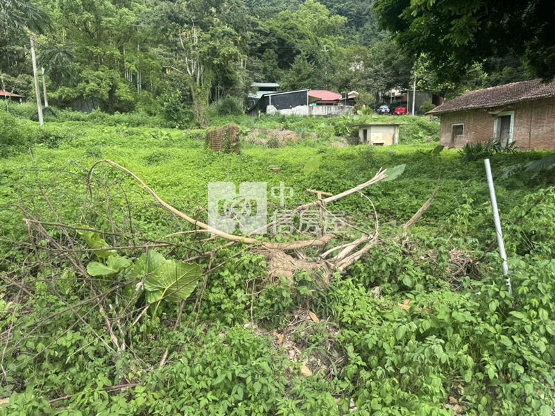 寶湖窟田+建Ⅱ房屋室內格局與周邊環境