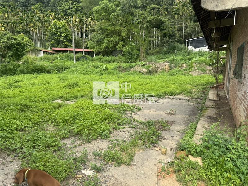 寶湖窟田+建Ⅱ房屋室內格局與周邊環境