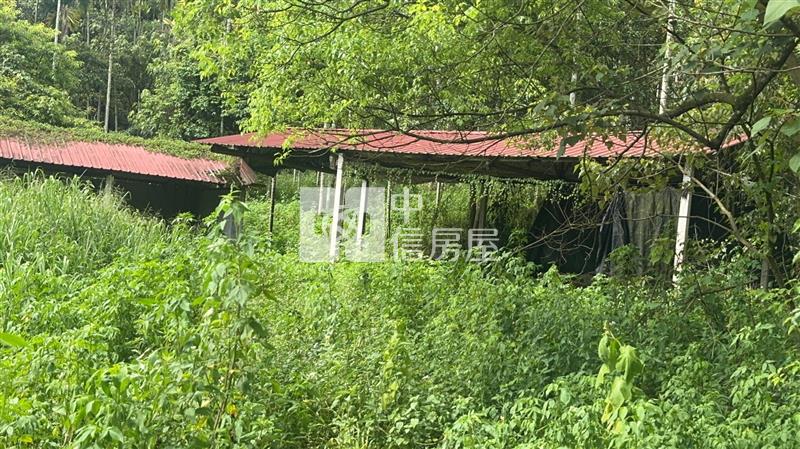 寶湖窟田+建I