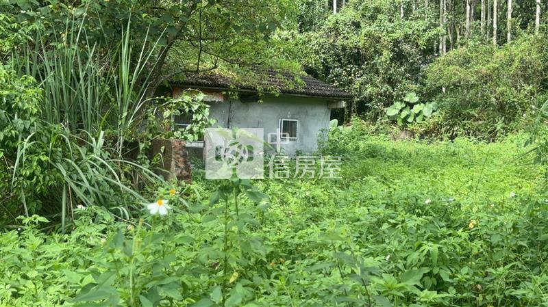 寶湖窟田+建I房屋室內格局與周邊環境