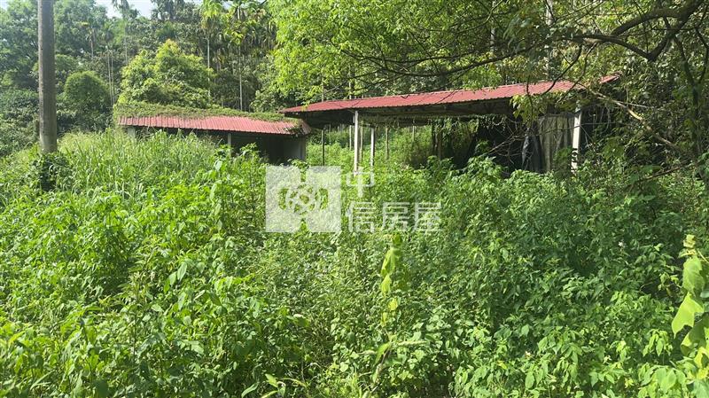 寶湖窟田+建I房屋室內格局與周邊環境