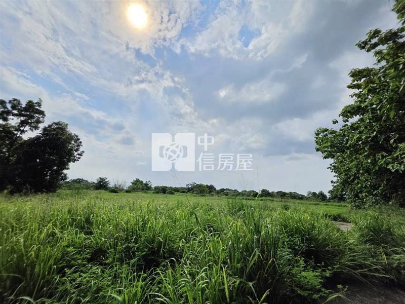 山上大新優質9分8一般農地房屋室內格局與周邊環境