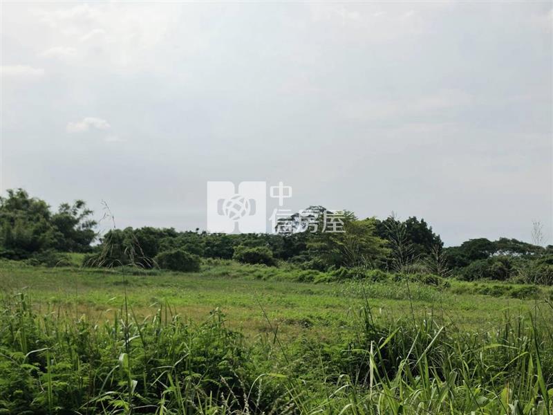 山上大新優質9分8一般農地房屋室內格局與周邊環境