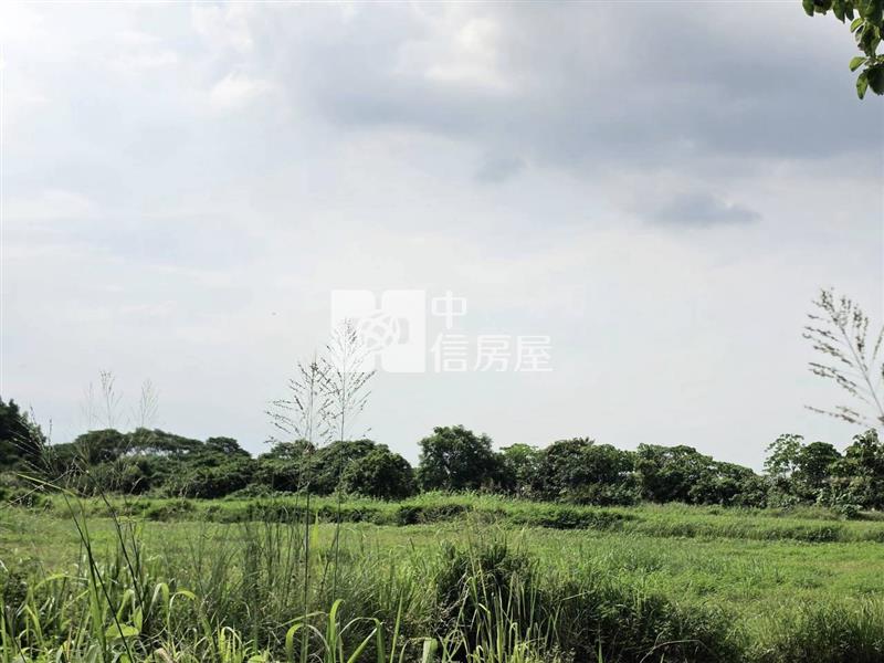 山上大新優質9分8一般農地房屋室內格局與周邊環境