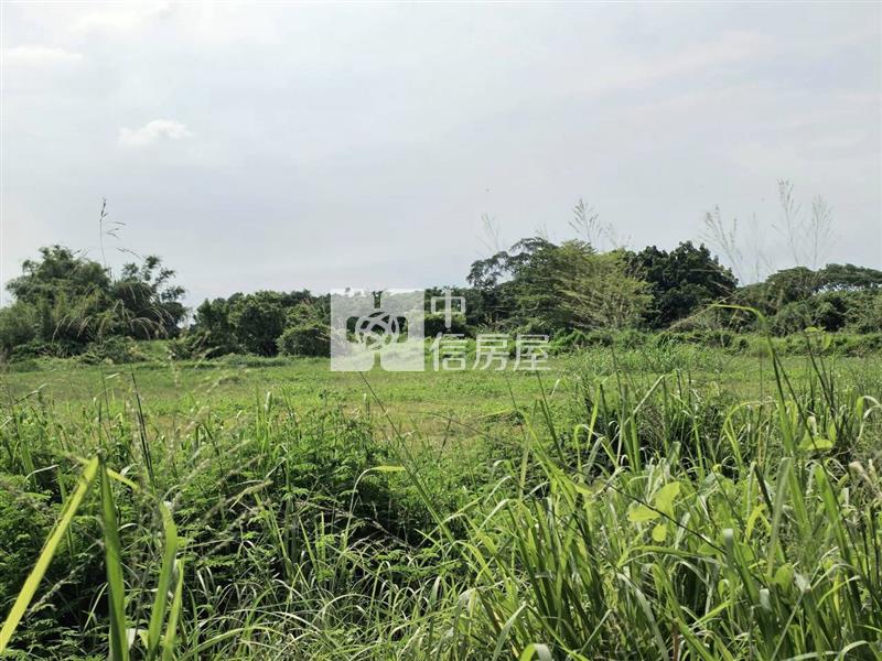 山上大新優質9分8一般農地房屋室內格局與周邊環境