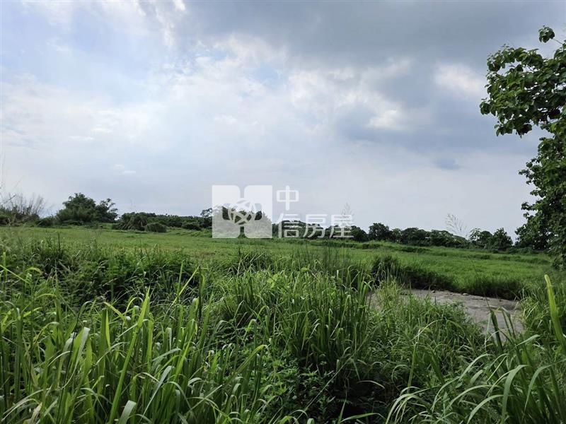 山上大新優質9分8一般農地房屋室內格局與周邊環境