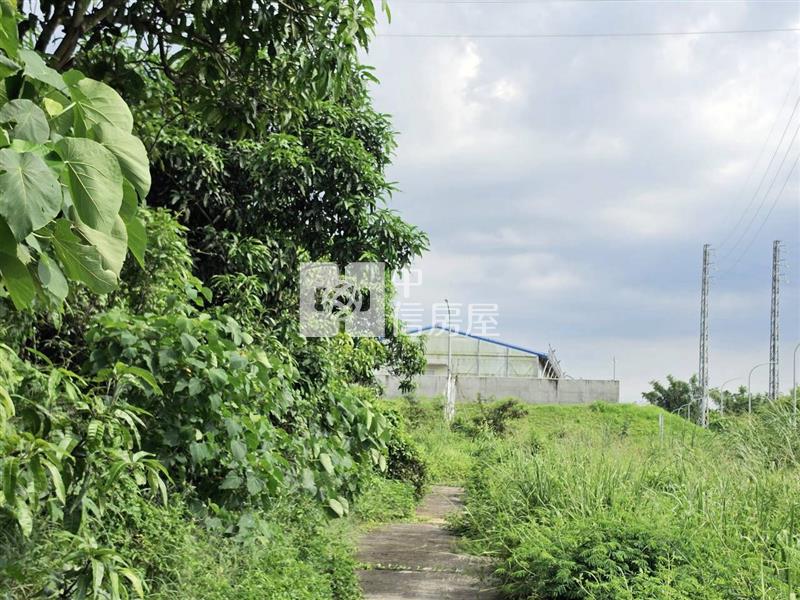 山上大新優質9分8一般農地房屋室內格局與周邊環境
