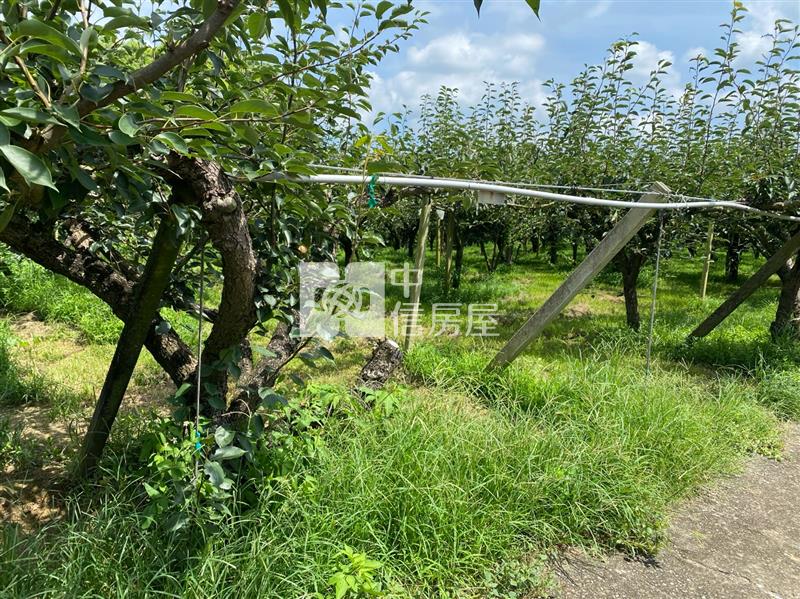 三灣休閒平坦合法農舍房屋室內格局與周邊環境