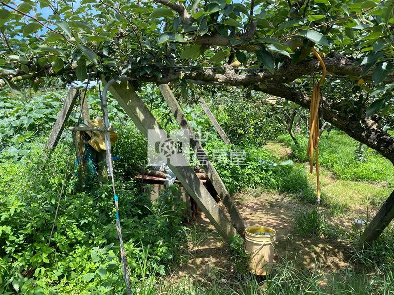 三灣休閒平坦合法農舍房屋室內格局與周邊環境