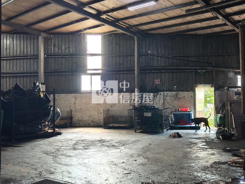 八德丁工廠房|約10米路|大面寬57米|挑高11米房屋室內格局與周邊環境