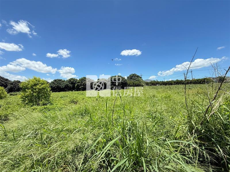 台中航空城產業園區農地海風段2房屋室內格局與周邊環境