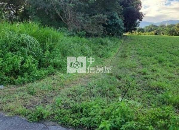 東華大學小坪數農地房屋室內格局與周邊環境